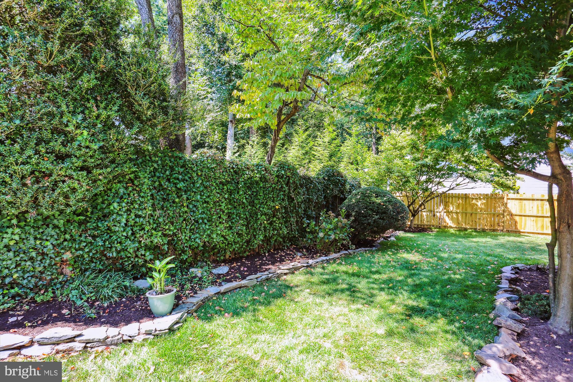 MASS AVE FOREST - Residential