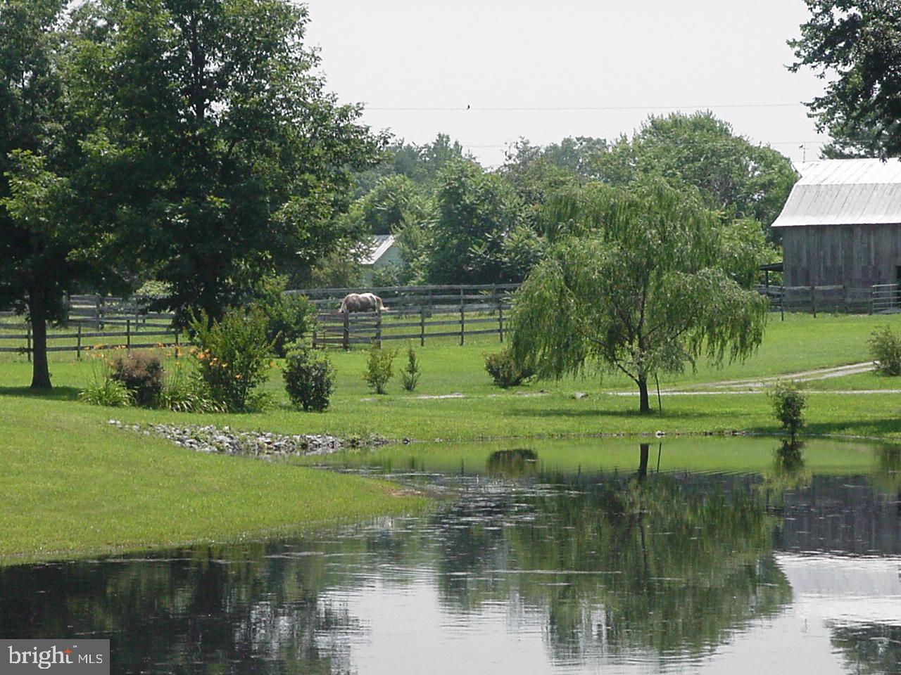 DUCKINGHOLE CREEK - Residential