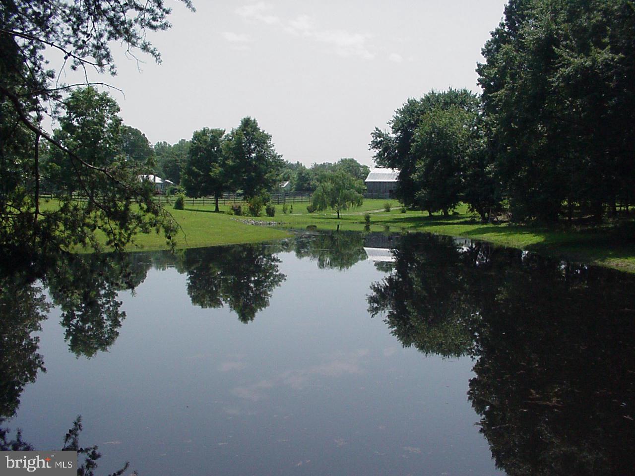 DUCKINGHOLE CREEK - Residential