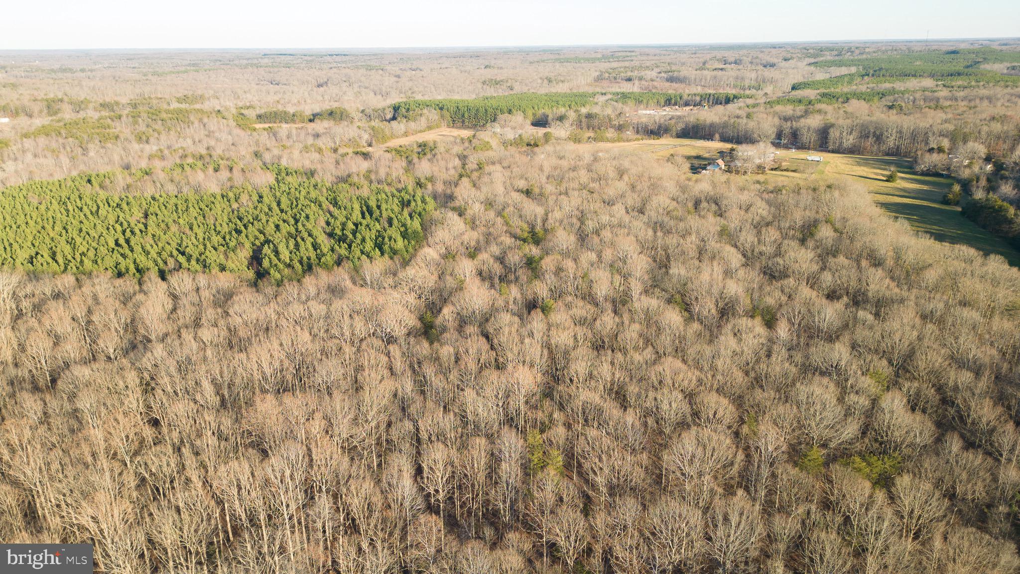 DUCKINGHOLE CREEK - Residential