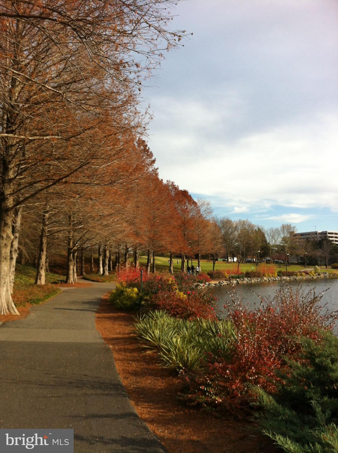 MAIDEN CHOICE VILLAGE - Residential