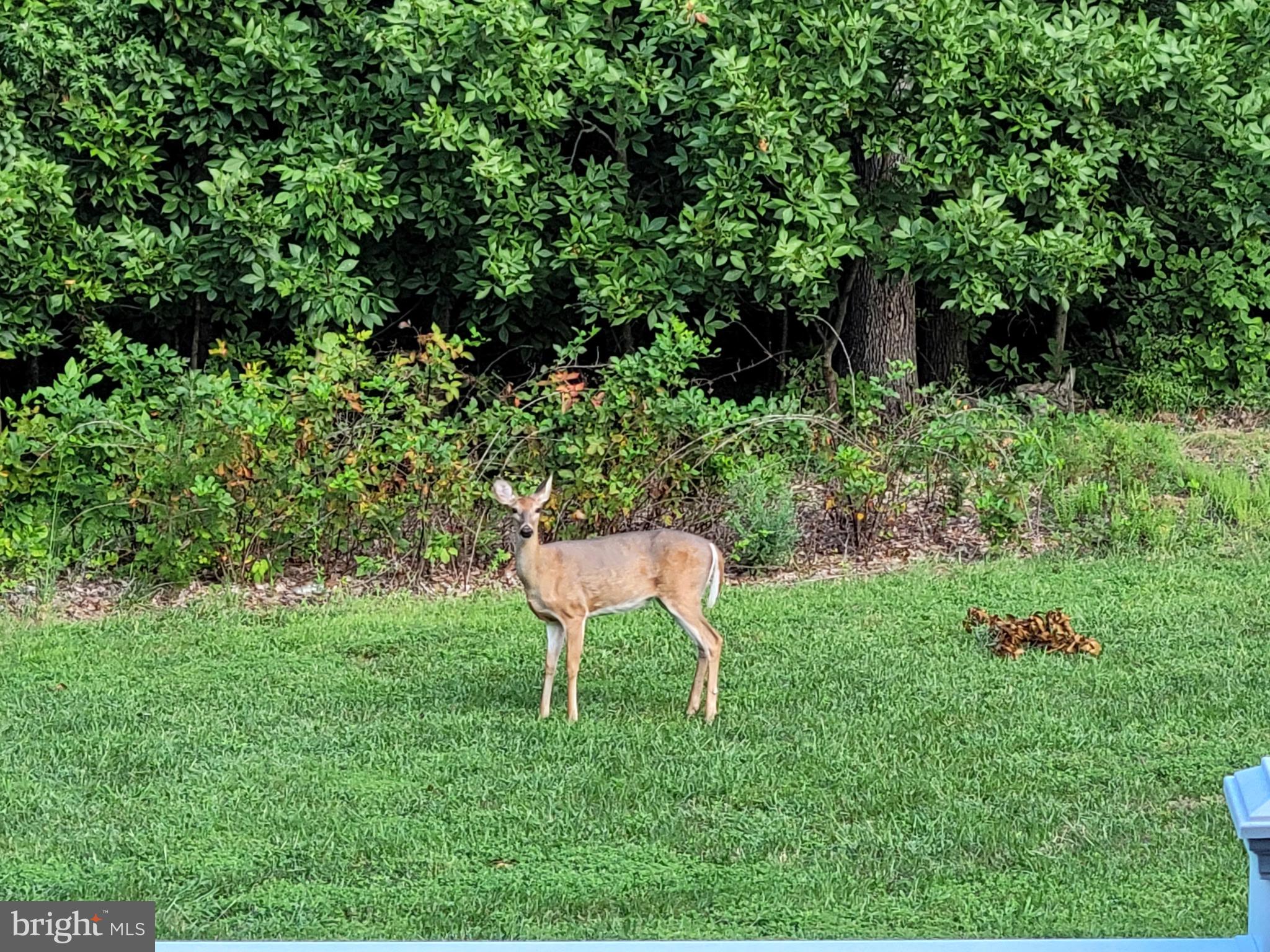 PEMBROOKE - Residential