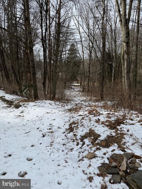 204 CANTERBURY COURT