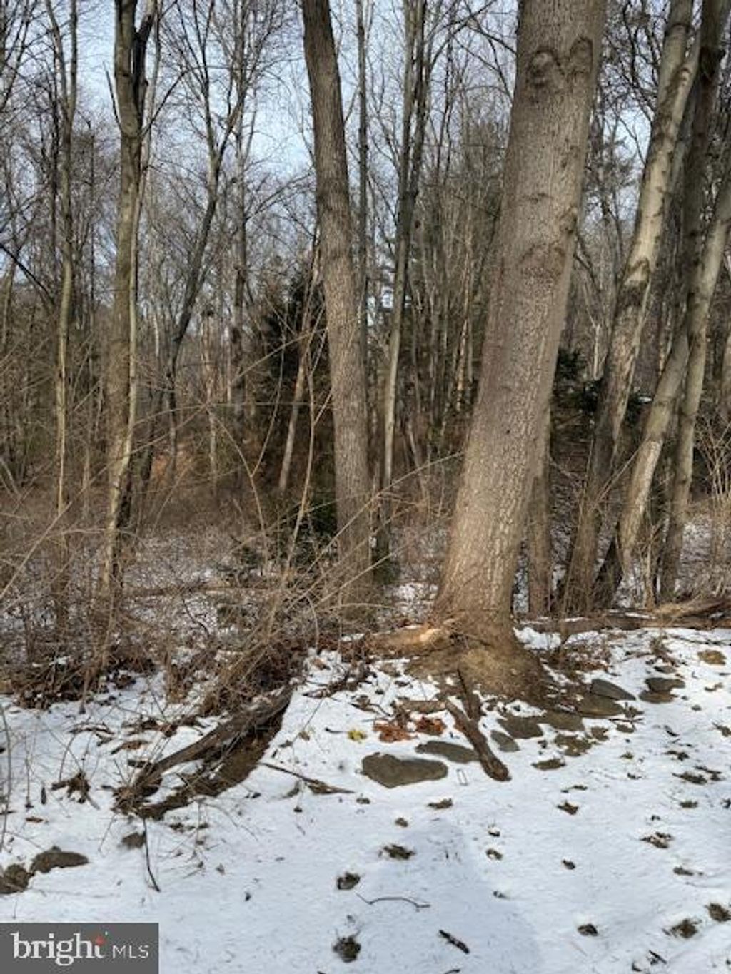 Photo of 204 Canterbury Court, NOTTINGHAM, PA 19362 (MLS # PALA2082378)