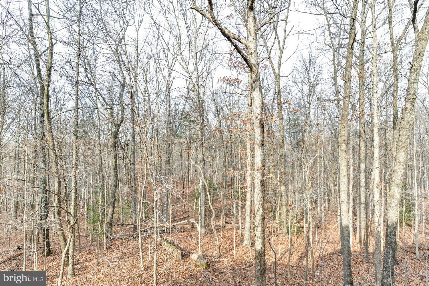 ISLAND CREEK - Residential