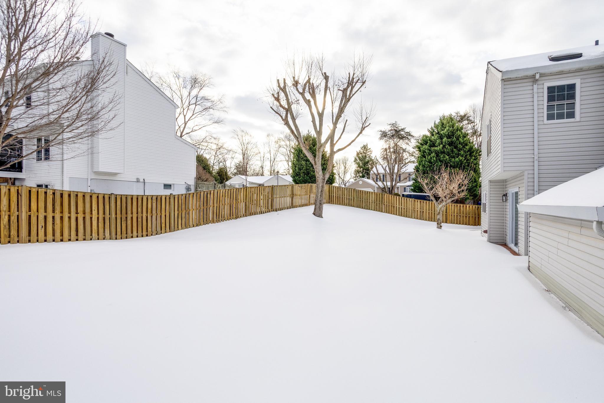 PEPPER TREE - Residential