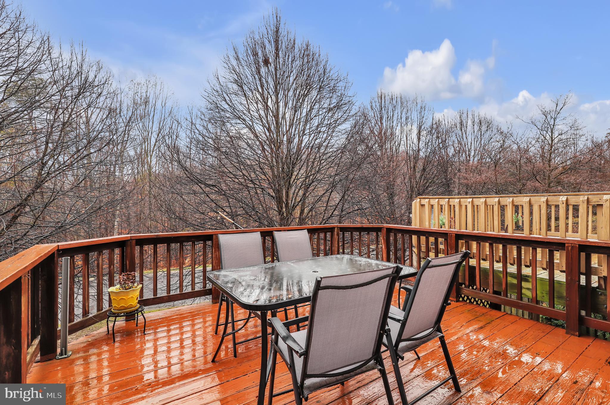 NORTH SHORE - Residential