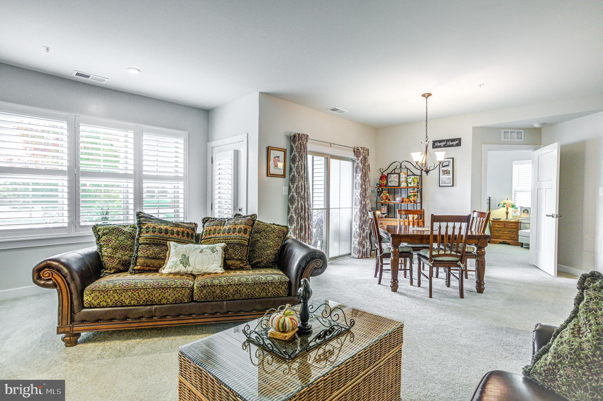 LAKE LINGANORE TOWN CENTER - Residential