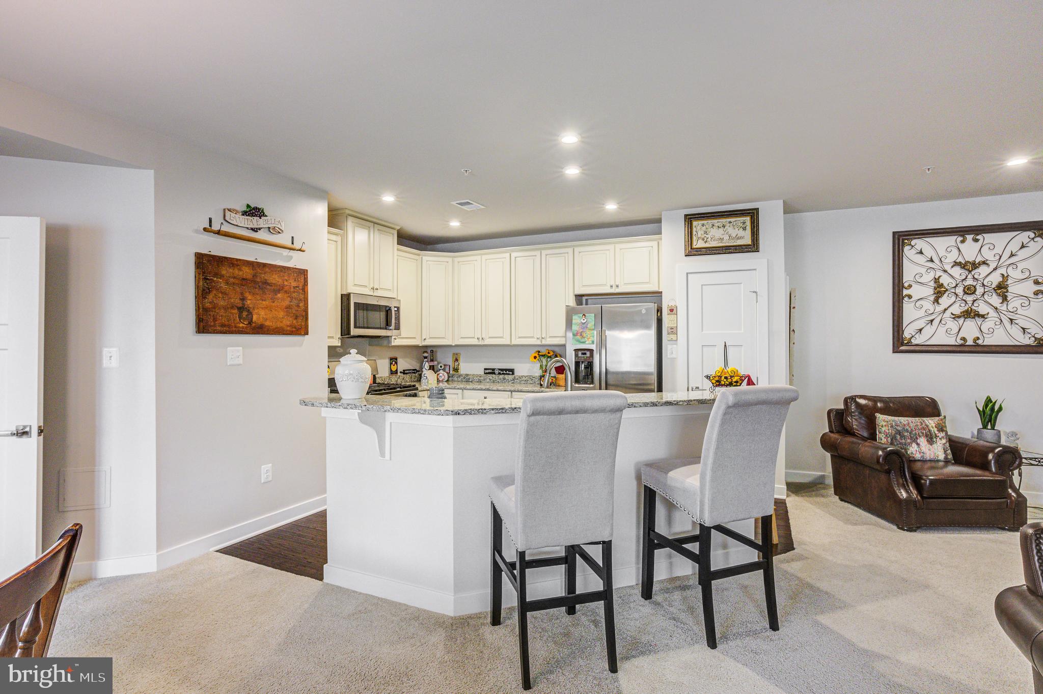 LAKE LINGANORE TOWN CENTER - Residential