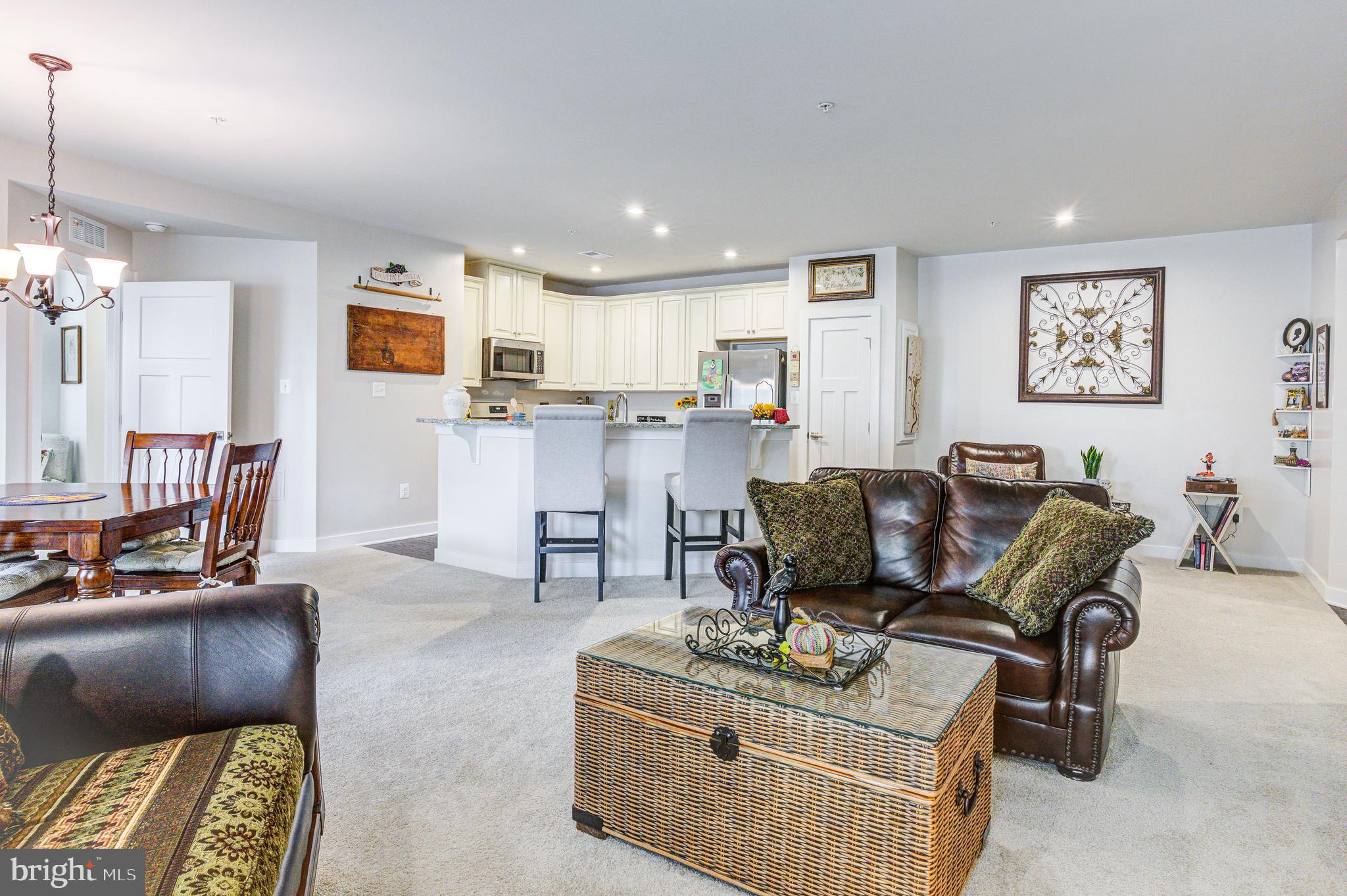 LAKE LINGANORE TOWN CENTER - Residential