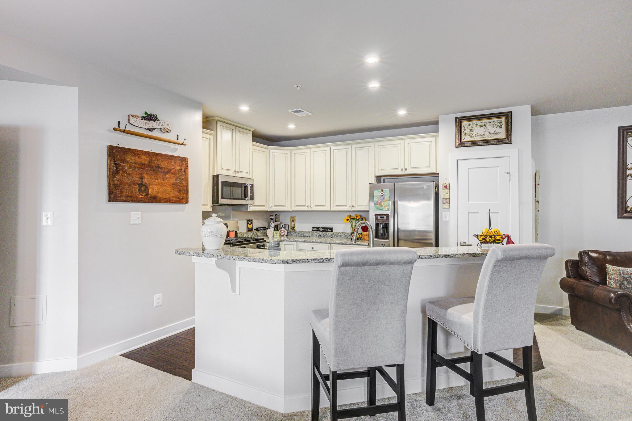 LAKE LINGANORE TOWN CENTER - Residential