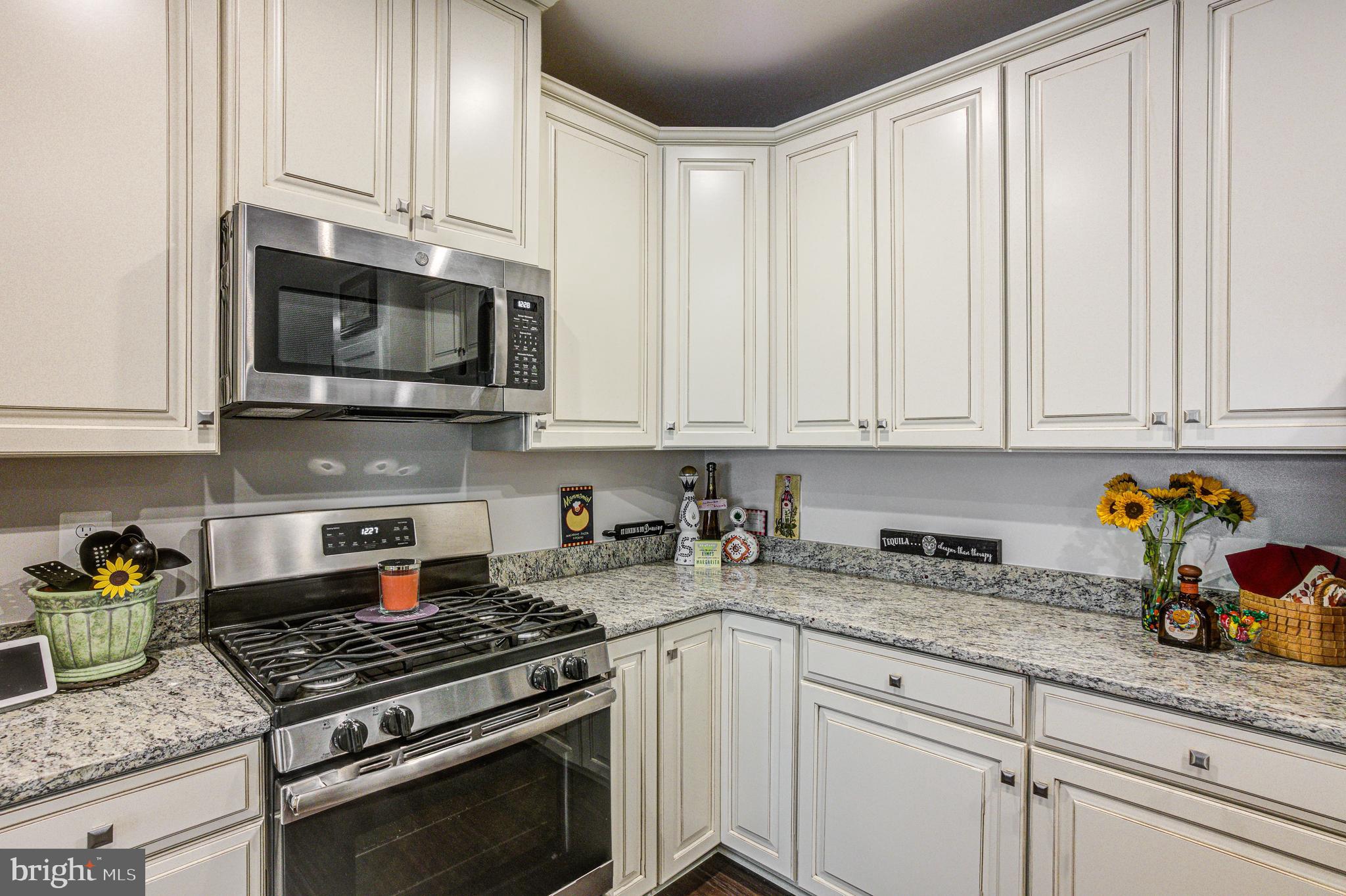 LAKE LINGANORE TOWN CENTER - Residential