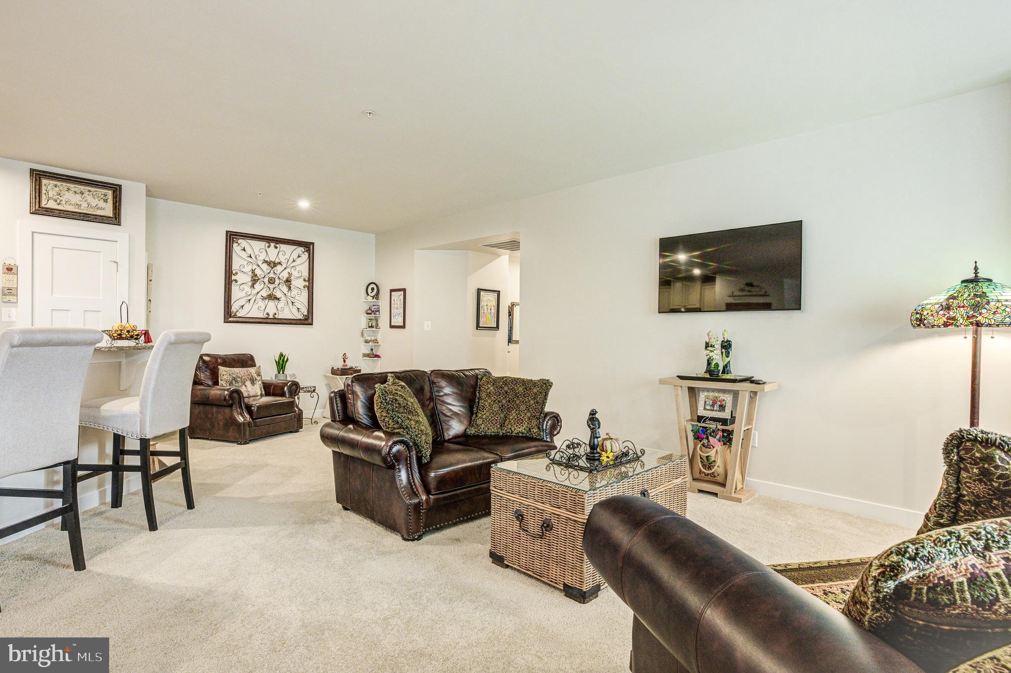 LAKE LINGANORE TOWN CENTER - Residential