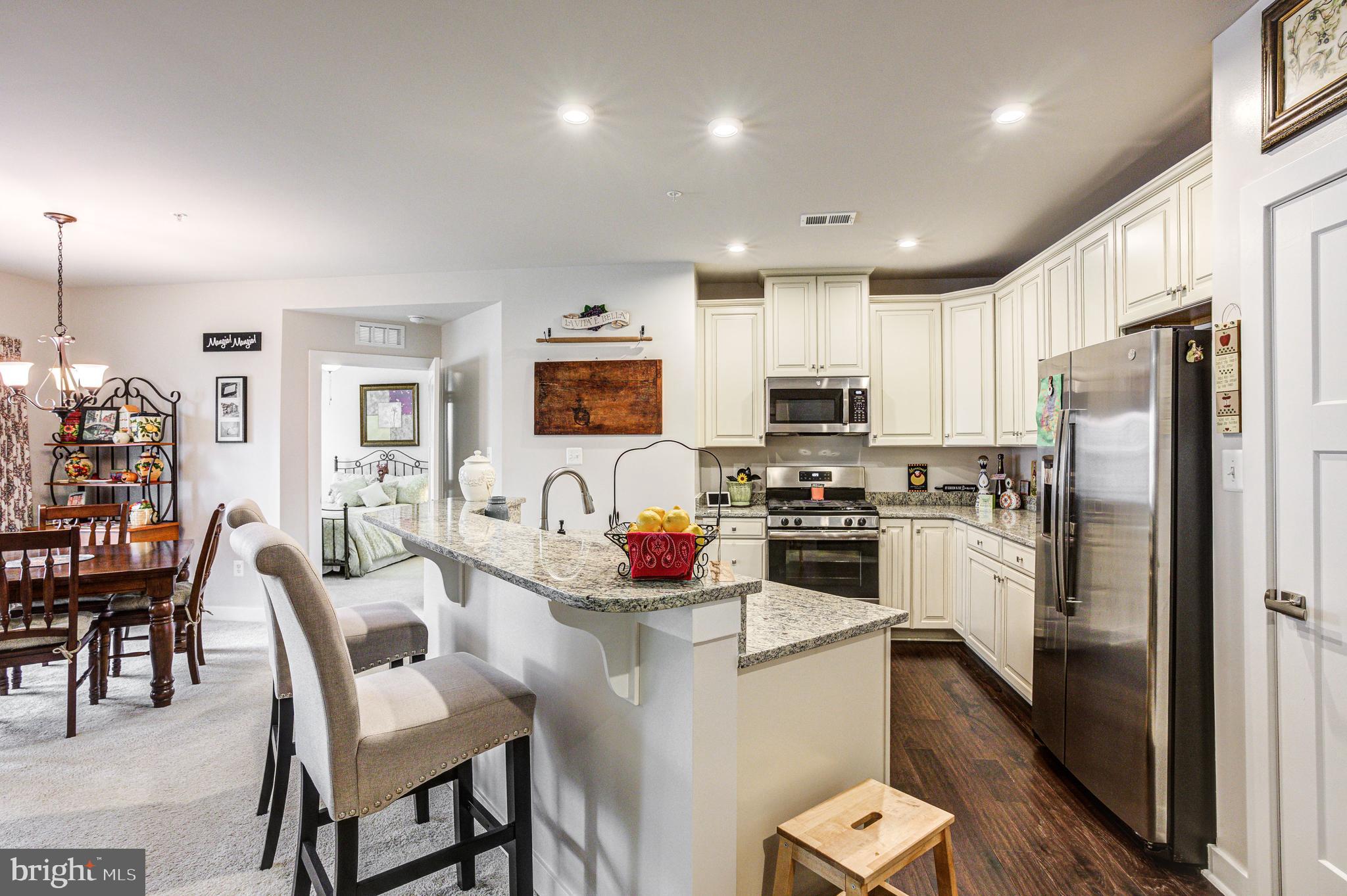 LAKE LINGANORE TOWN CENTER - Residential