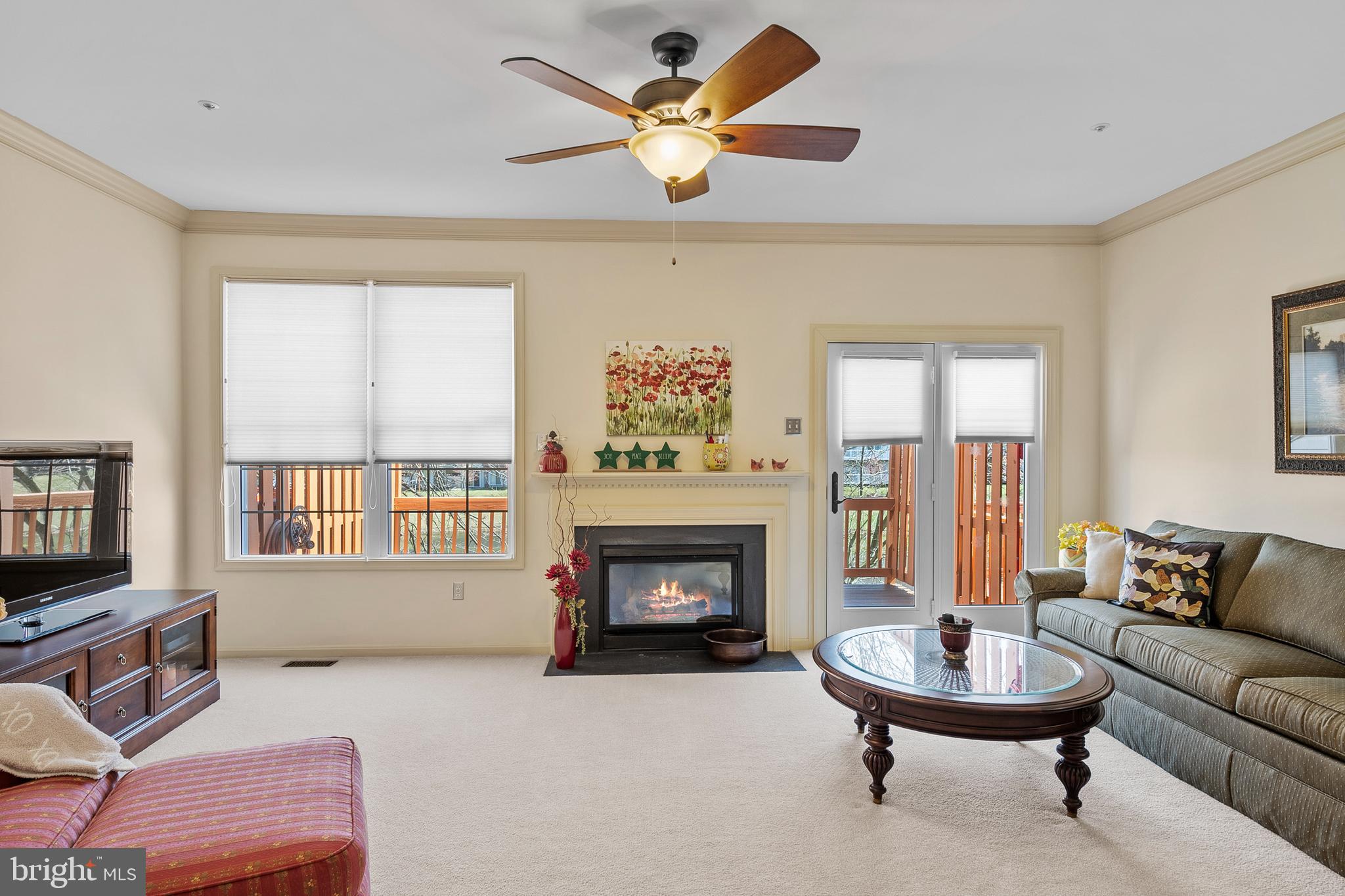 ELLICOTT PARK - Residential