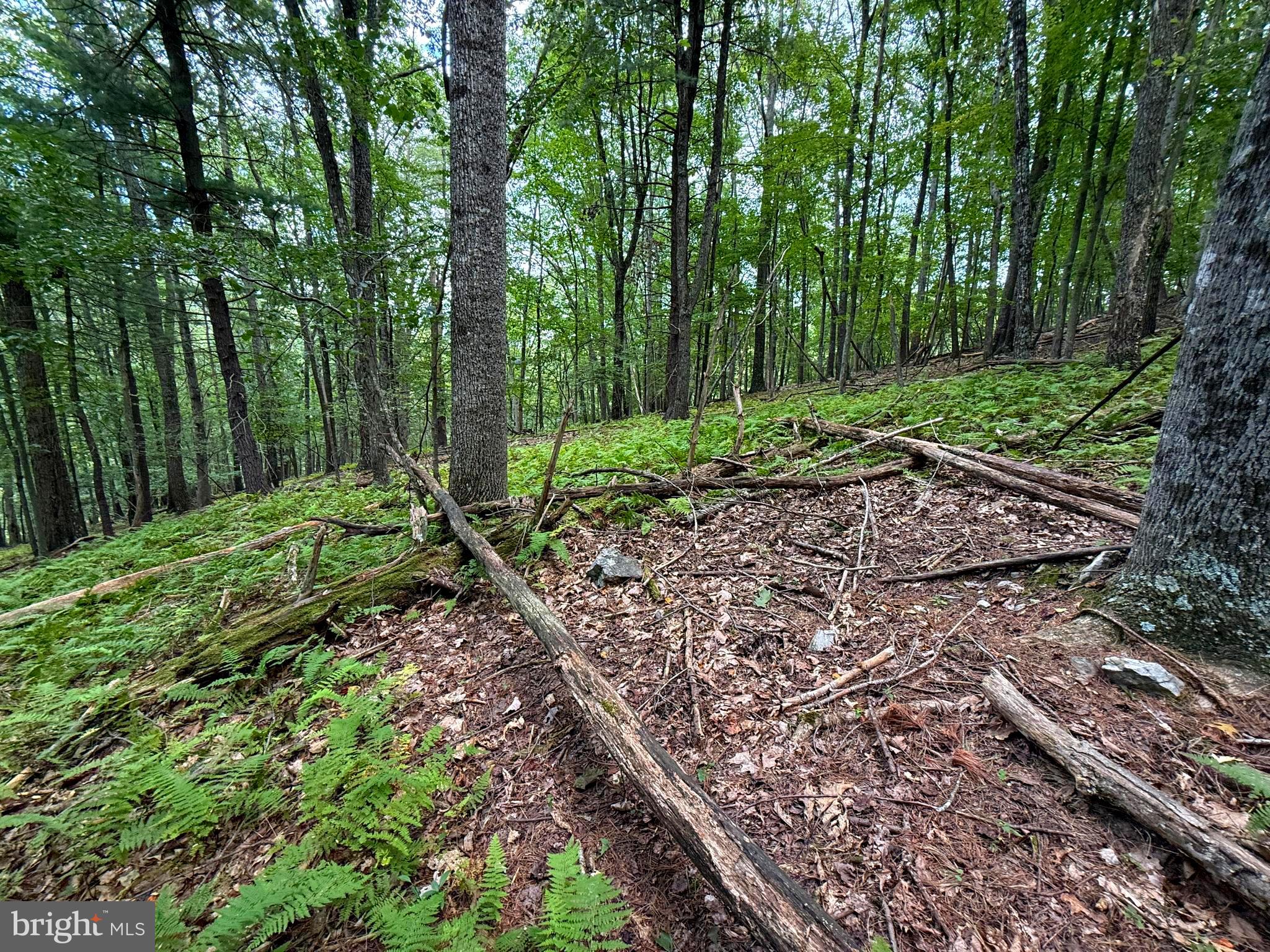 LOST RIVER MOUNTAIN SUBDIVISION - Land