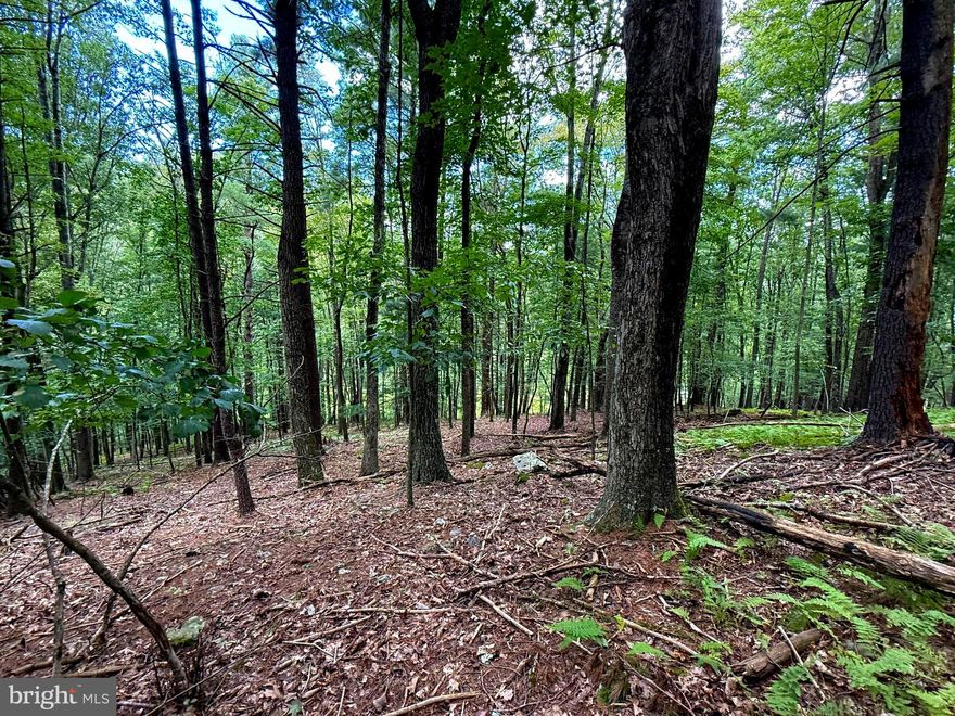 Discover your own private retreat on this 4+/-acre wooded lot in the Lost River Mountain subdivision. Tucked into a serene forest setting, the property features a natural mix of hardwoods, pine, and lush ferns carpeting the forest floor. Gentle to moderately sloping terrain creates excellent potential for a secluded cabin, weekend getaway, or full-time residence, all while preserving the surrounding natural beauty.

Enjoy the sights and sounds of mountain living, with abundant wildlife and peaceful surroundings just minutes from the charm of Lost River and all the adventures that await you there. Whether you envision a rustic hideaway or a modern build nestled among the trees, this lot offers the perfect backdrop for your vision.

LOT 20-3.96 acres