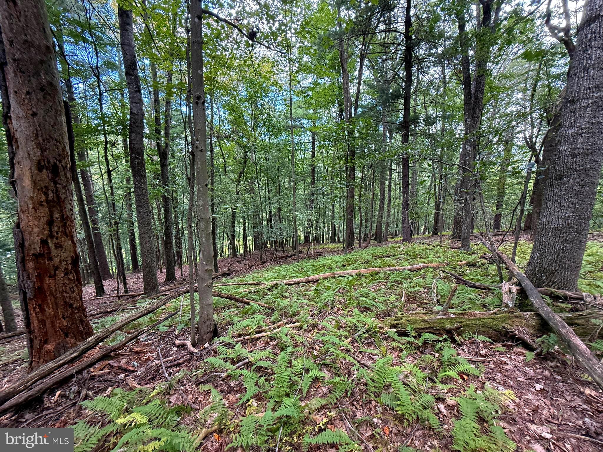 LOST RIVER MOUNTAIN SUBDIVISION - Land