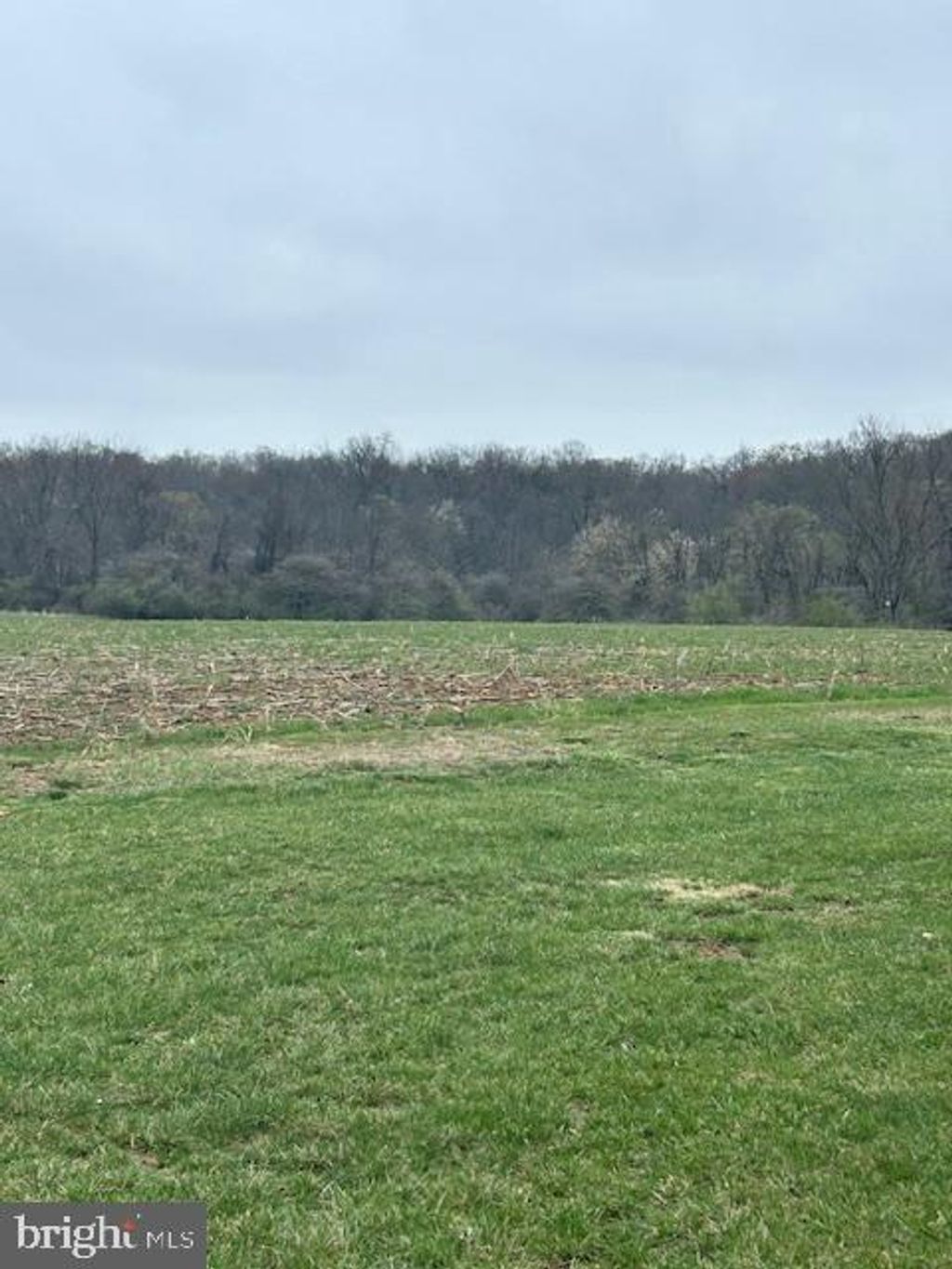 Photo of 253 Willow Mill Park Road, MECHANICSBURG, PA 17050 (MLS # PACB2040418)