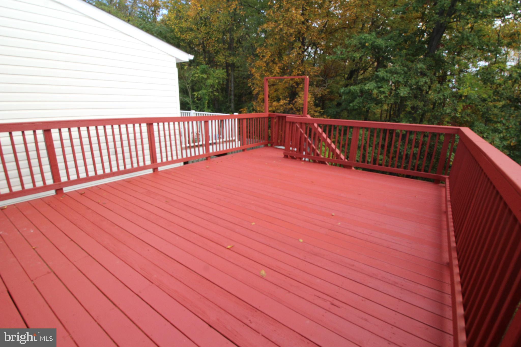 BRISTOL FOREST - Residential