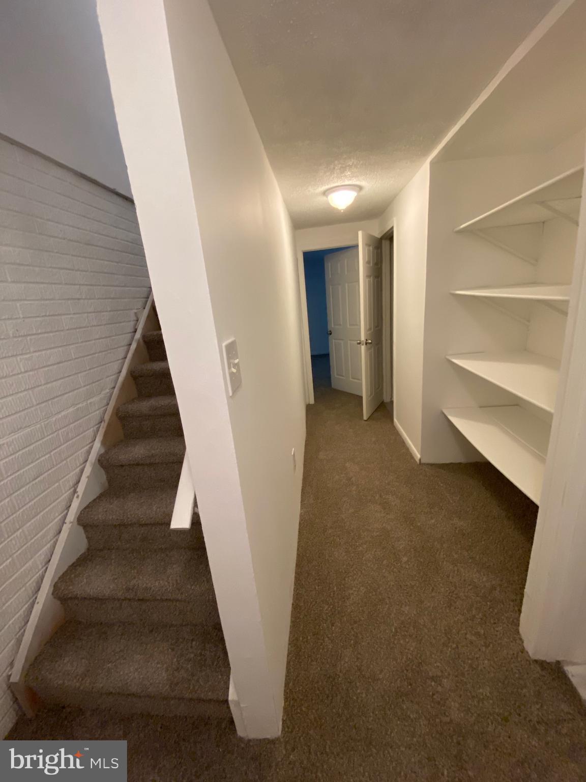 BRISTOL FOREST - Residential