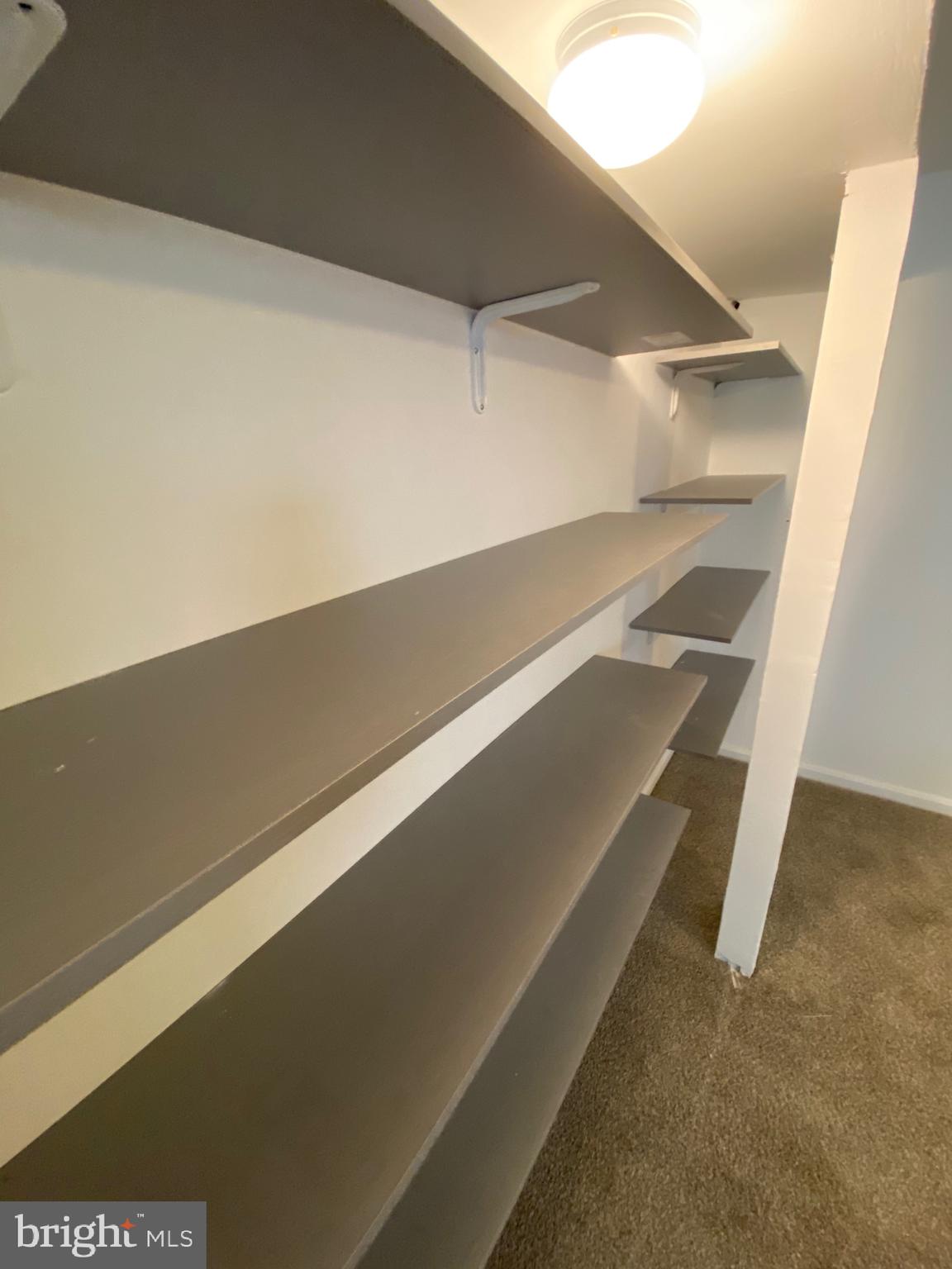 BRISTOL FOREST - Residential