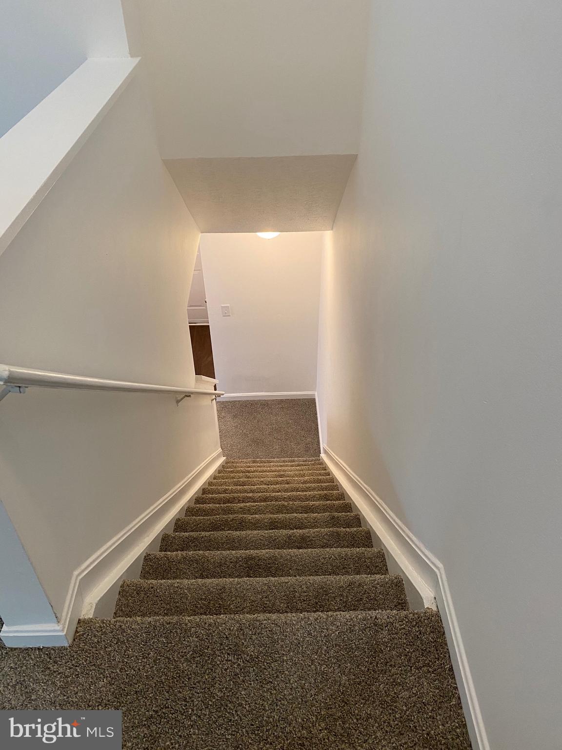 BRISTOL FOREST - Residential