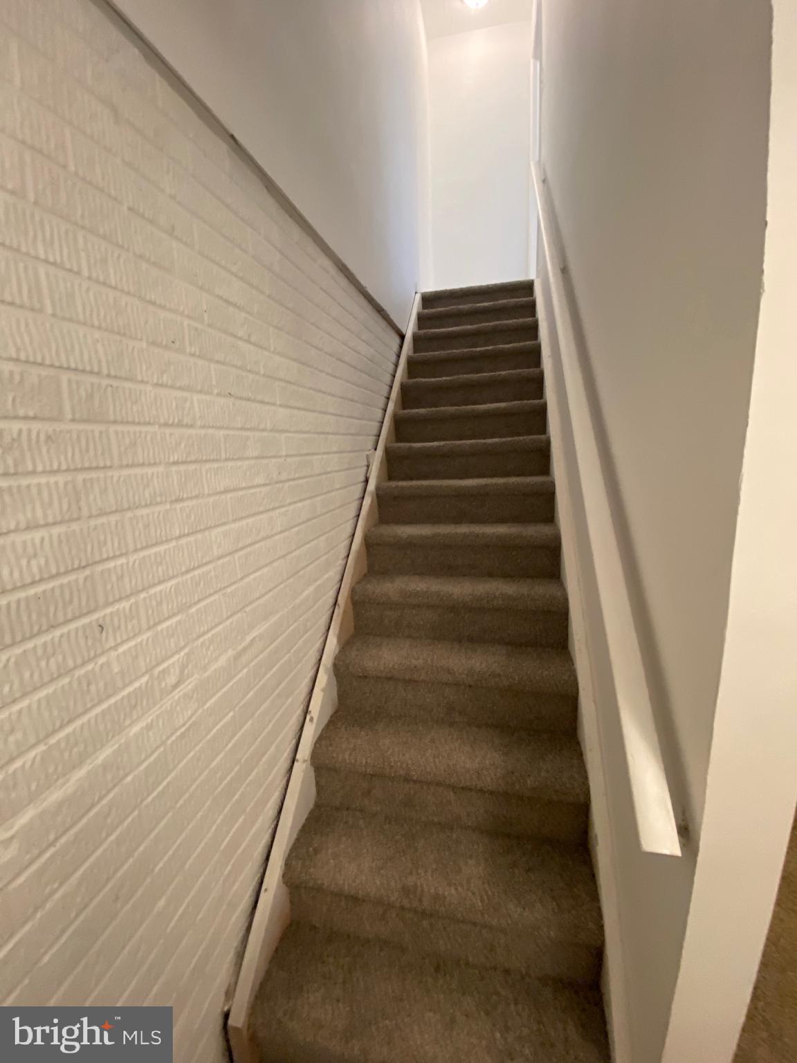 BRISTOL FOREST - Residential