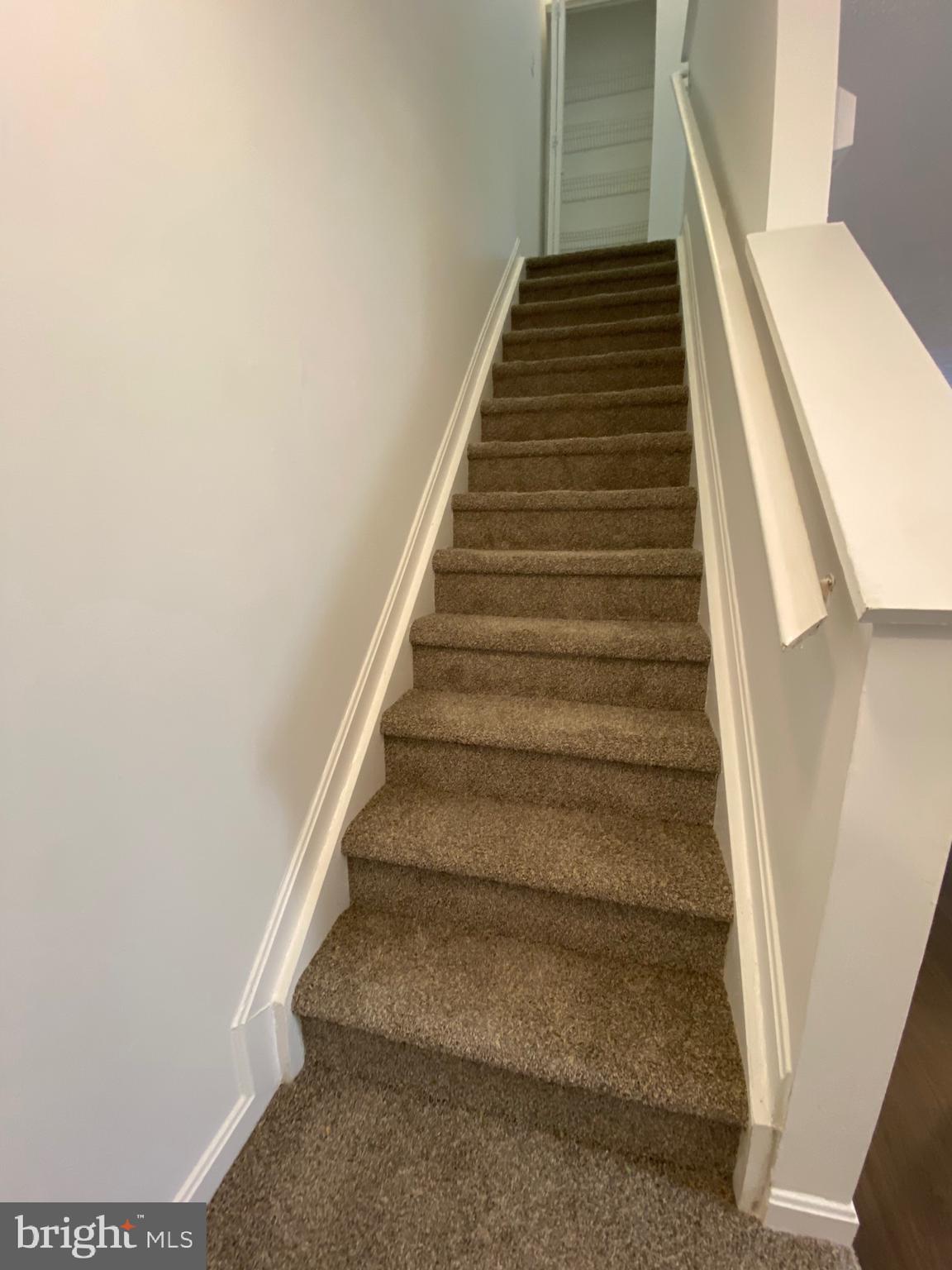 BRISTOL FOREST - Residential