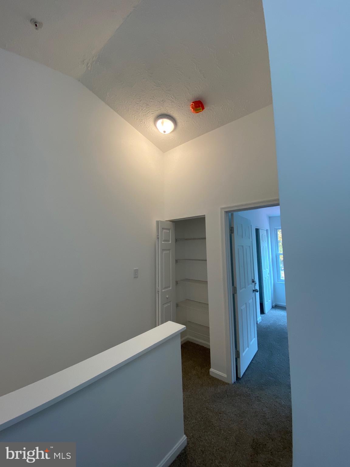 BRISTOL FOREST - Residential