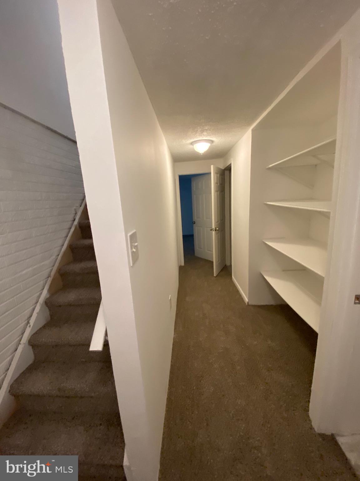 BRISTOL FOREST - Residential