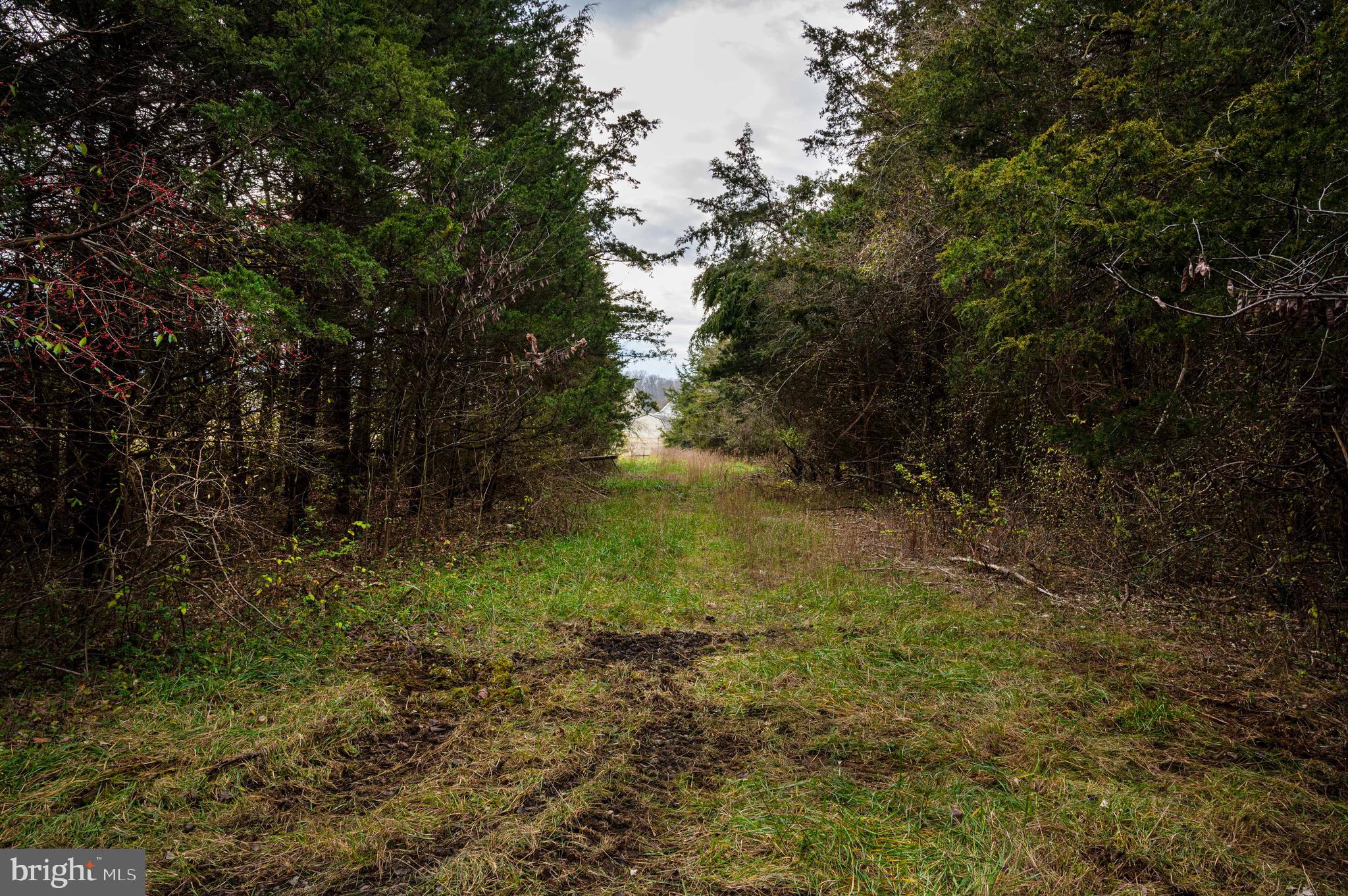 STRASBURG BUSINESS AND INDUSTRIAL PARK - Land