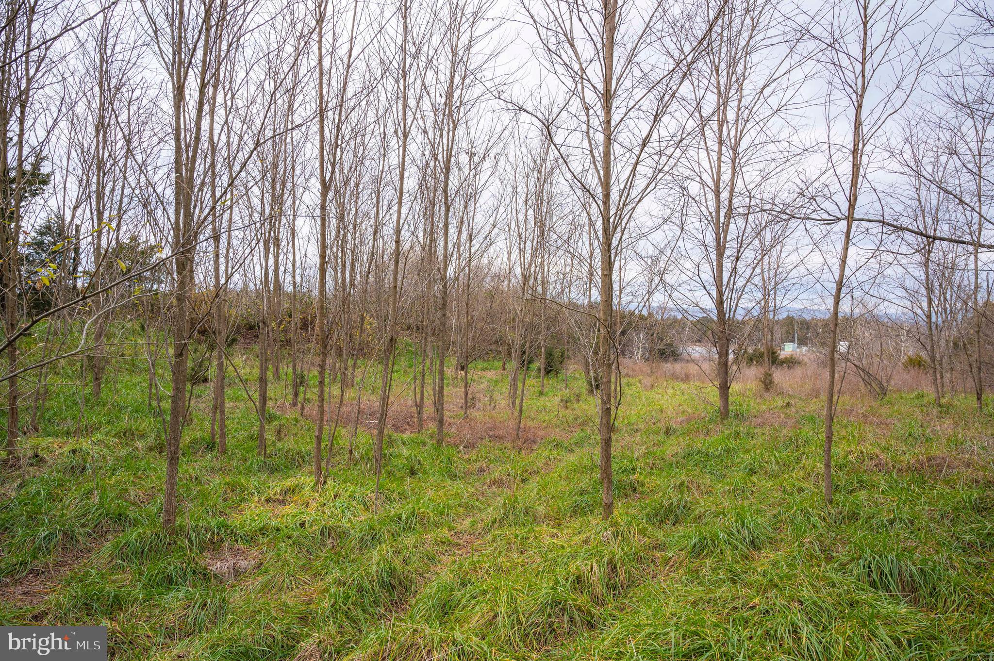 STRASBURG BUSINESS AND INDUSTRIAL PARK - Land