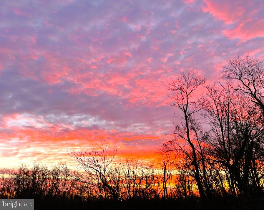 HINES ESTATES - Residential Lease