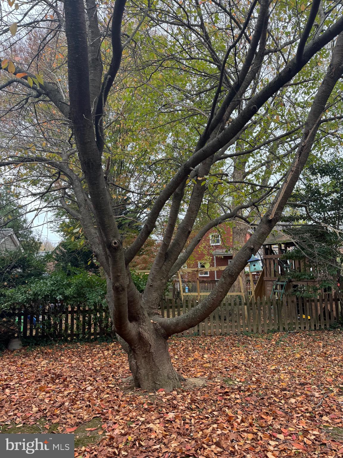 SILVER SPRING - Residential