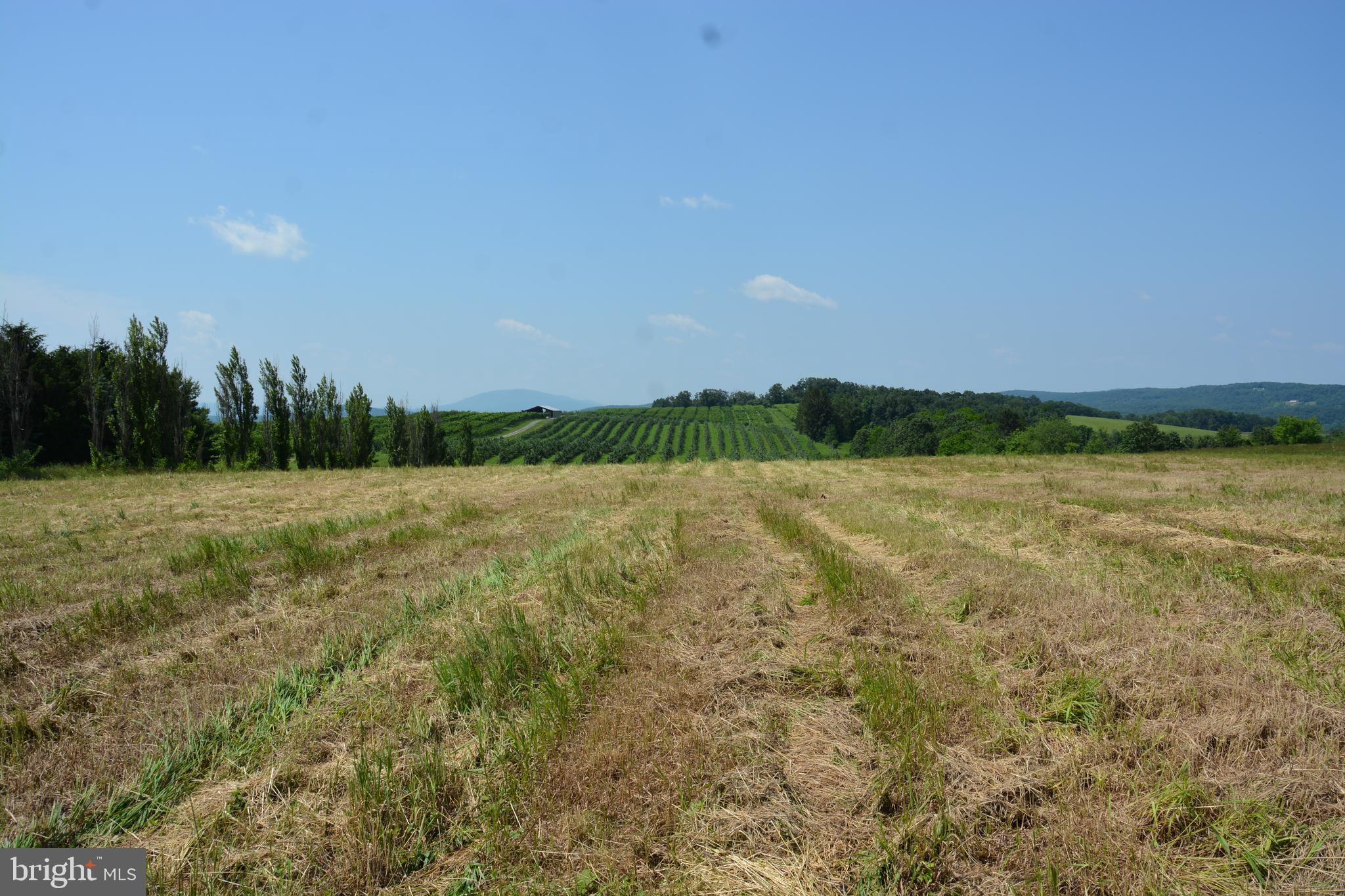 NONE AVAILABLE - Land