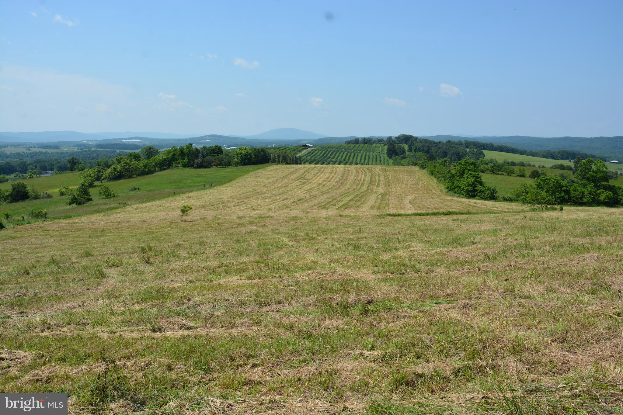 NONE AVAILABLE - Land