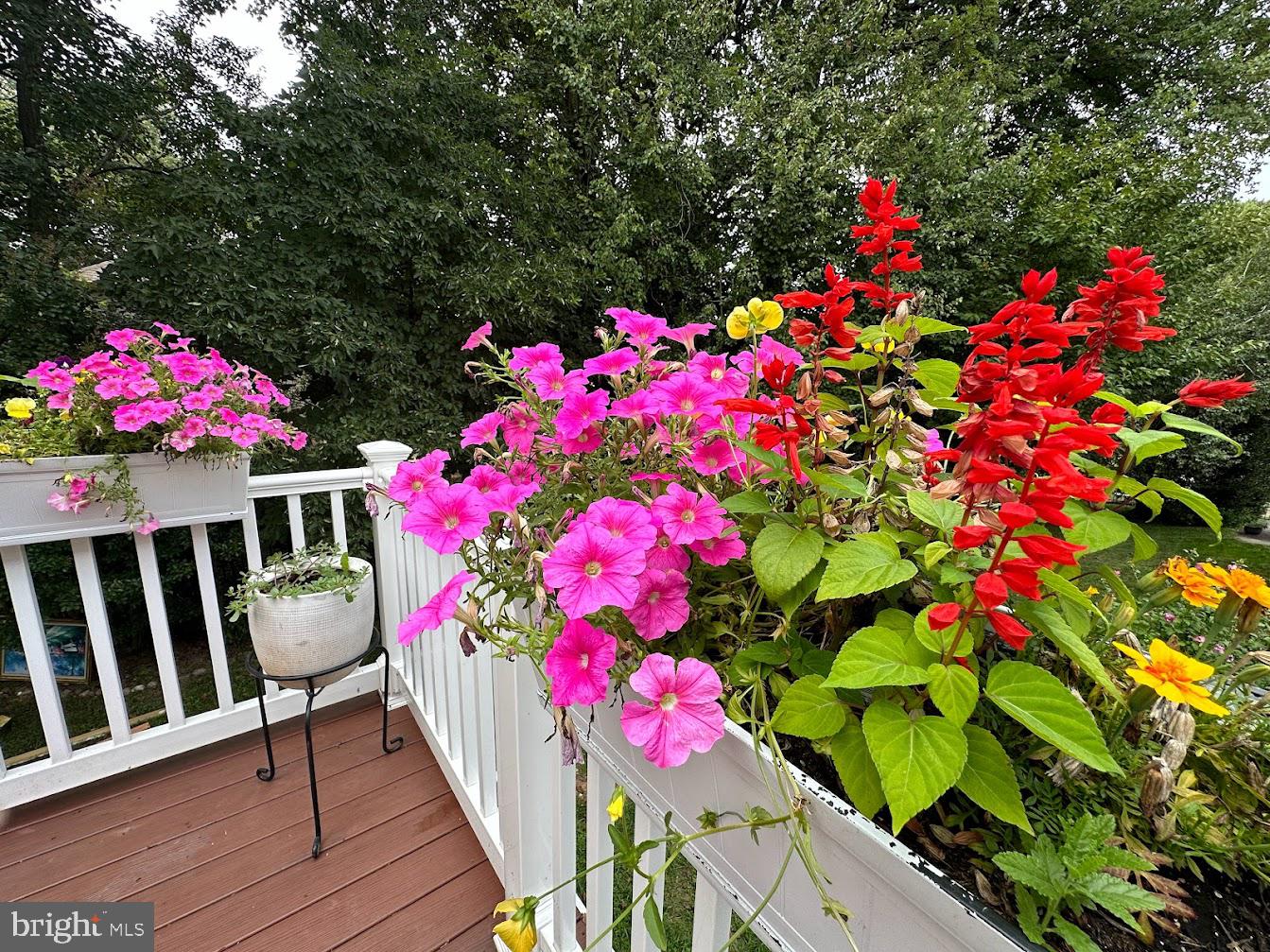 NOTTINGHAM WOODS - Residential