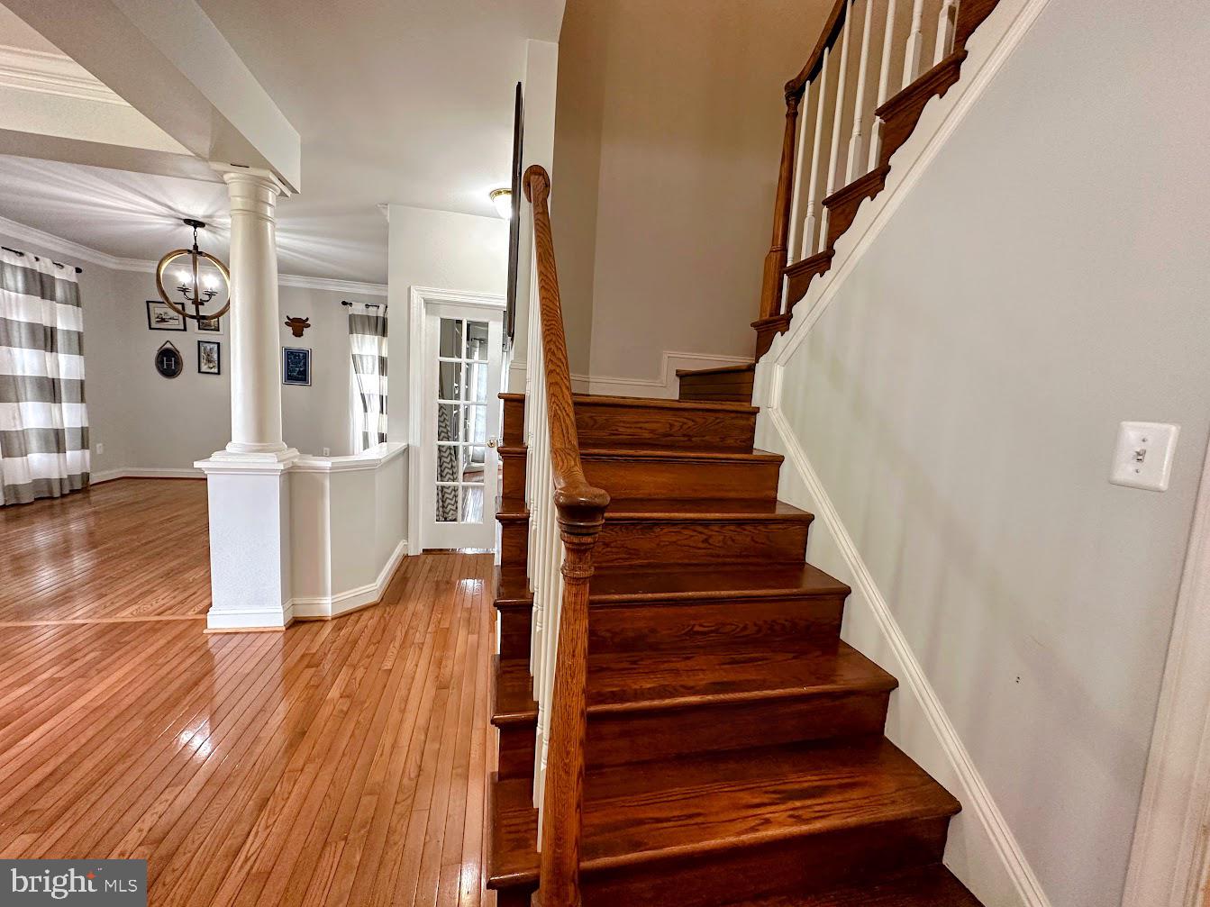 NOTTINGHAM WOODS - Residential