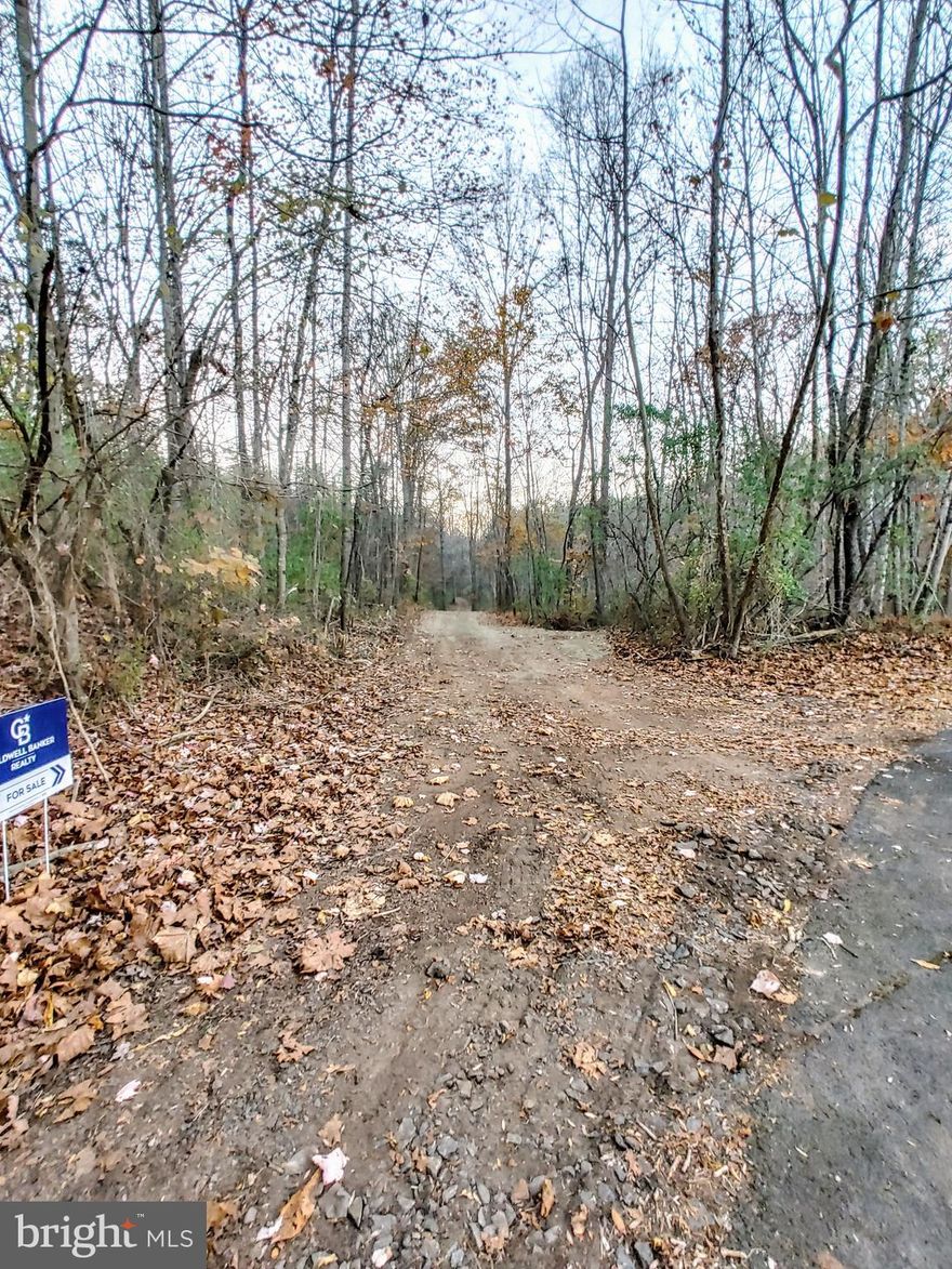 Beautiful 11.13-acre wooded building lot with Septic Certification Letter for 4-bedroom perc, and recently cleared access to the property.  Potential for mountain views!  NO HOA.   This lot is perfect for building that private home in a peaceful country setting. Ingress-Egress easement and Road Maintenance Agreement in place.  This lot I is zoned RA (see document for RA zoning information).  Follow Will Lane to the driveway entrance on right (across from detention pond - sign at property).  This is a private subdivision type setting, so please be respectful of the neighbors and their property.  Buyer to verify utilities.  Certification Letter for 4-bedroom perc.