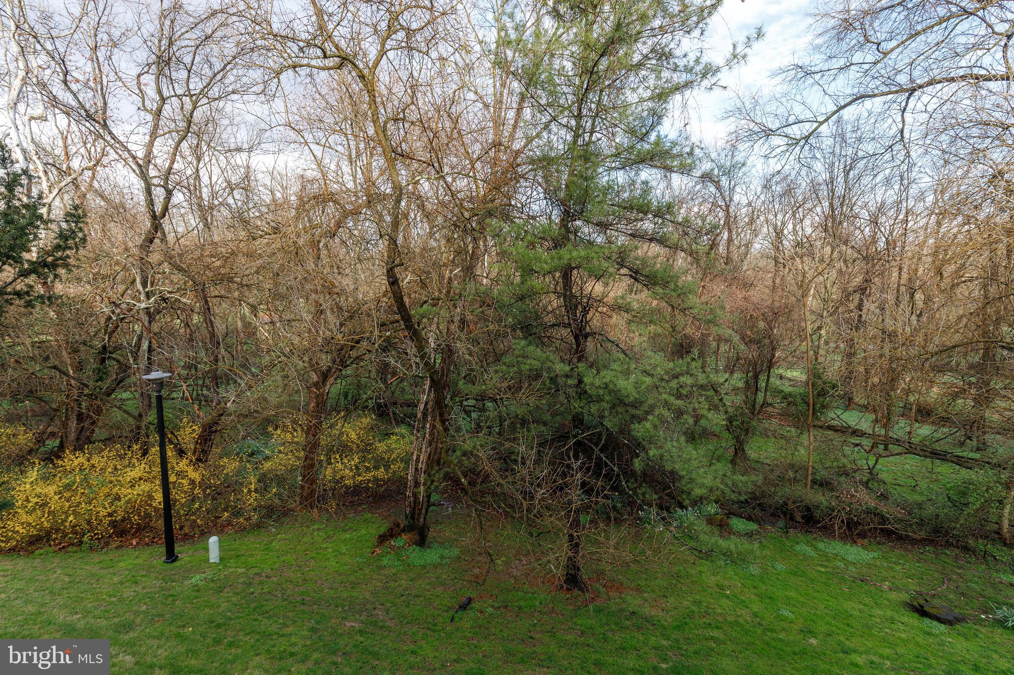 TOWN CENTER - Residential