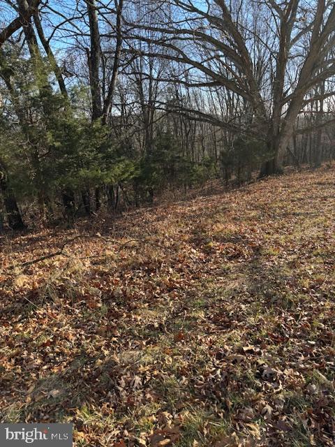 MATTHEWS MOUNTAIN LOOP