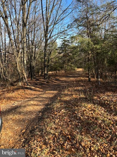 MATTHEWS MOUNTAIN LOOP