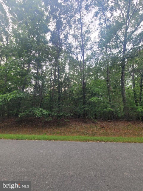 Vacant Land For Sale - LOT 15 Shorewood Drive<br/> MINERAL, VA 23117