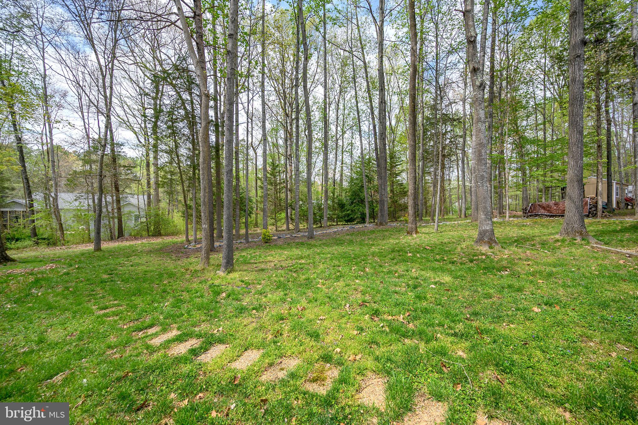 LAKE OF THE WOODS - Residential