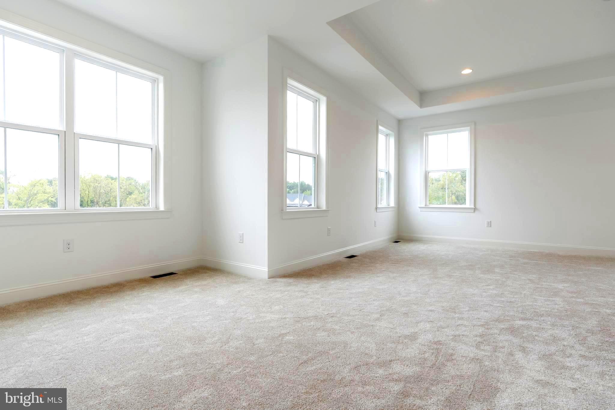 THE MEADOWS AT LONGVIEW - Residential