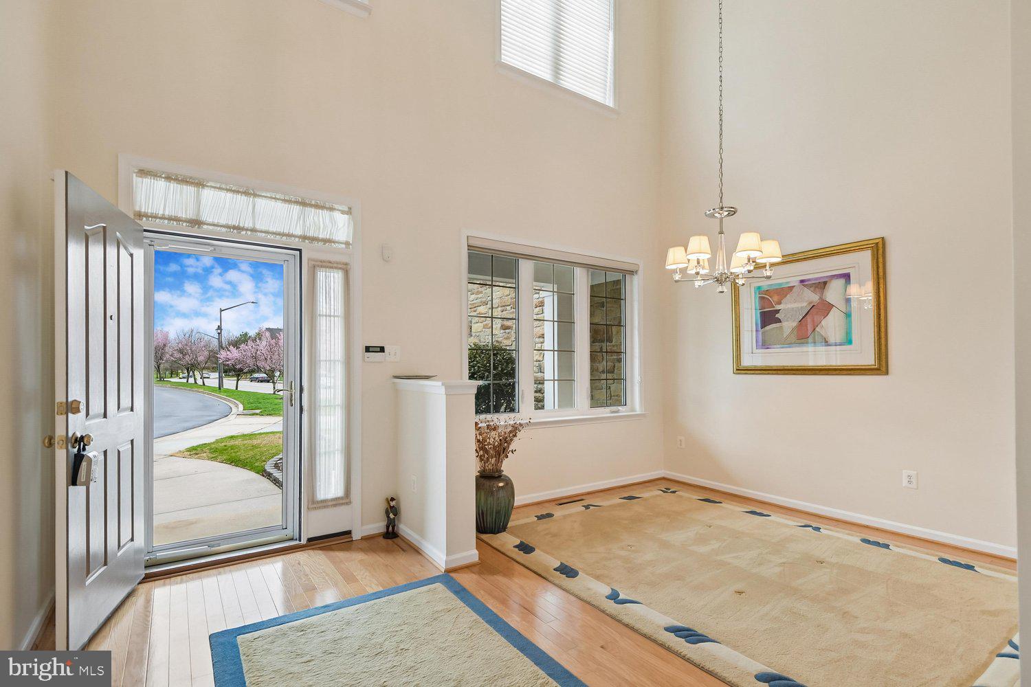 SNOWDEN OVERLOOK - Residential