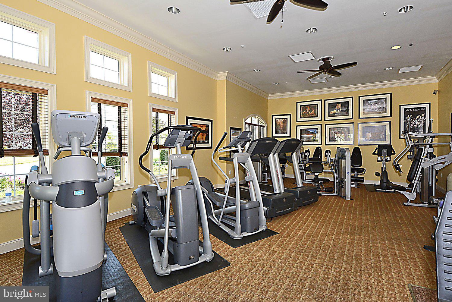 SNOWDEN OVERLOOK - Residential