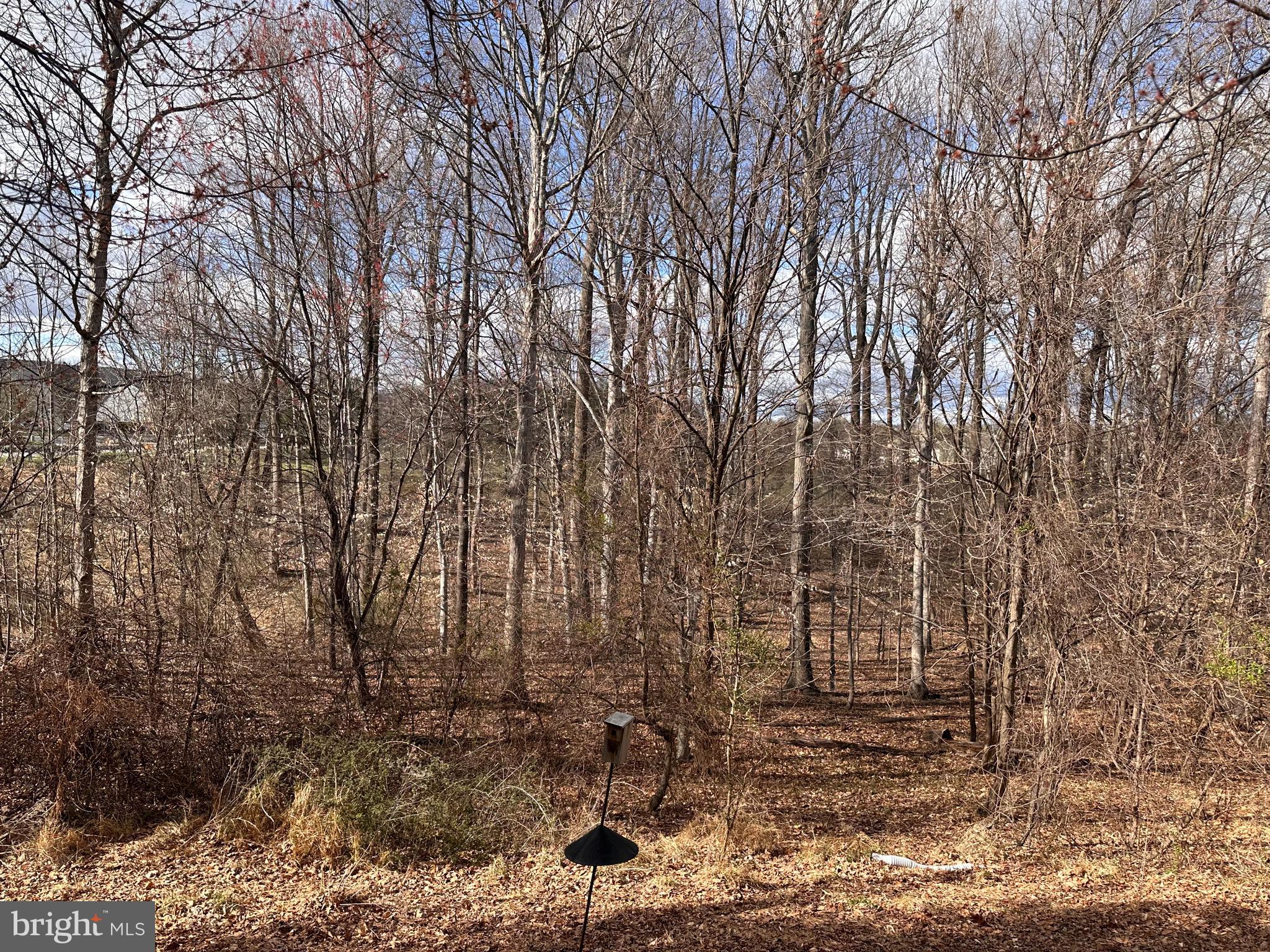 SNOWDEN OVERLOOK - Residential