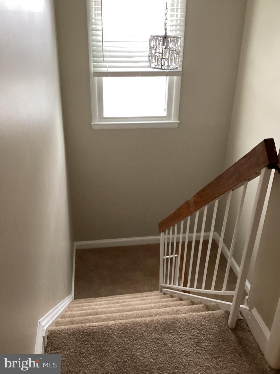 PROPHECY - Residential